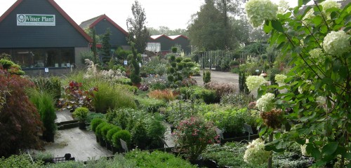 Visser Plant Boomkwekerij en Plantencentrum