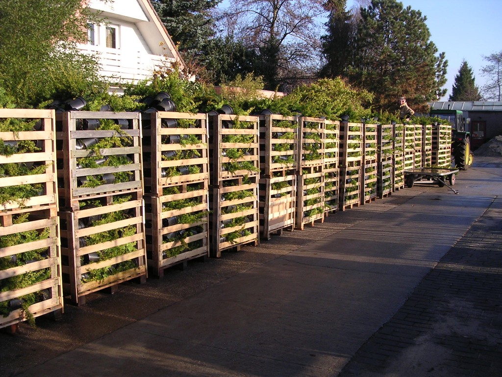 Klanten Boomkwekerij, tuincentrum Friesland